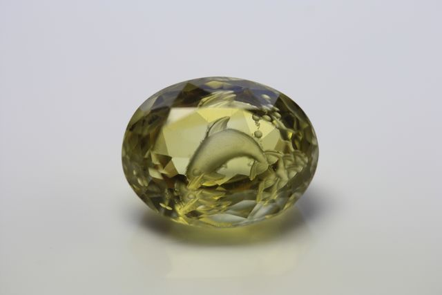 Citrin - Oval 9.95 cts - Dolphin