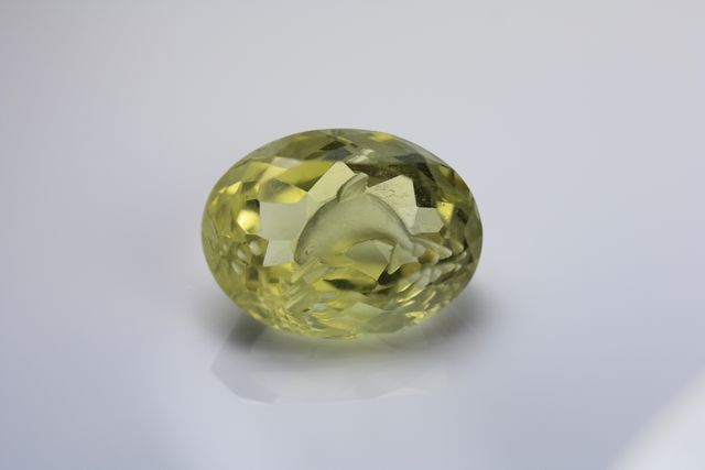 Citrin - Oval 6.865 cts - Dolphin