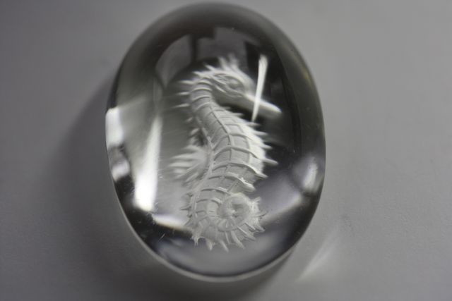 Rock crystal - Oval 13.86 cts - Sea horse